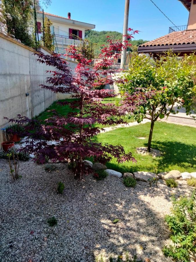 B&B La Casa Di Giuliana Cermignano Exterior foto